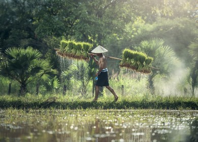 GIÁ THÉP GIẢM KHI NHU CẦU DỰ BÁO GIẢM, CUỘC KHỦNG HOẢNG BẤT ĐỘNG SẢN CỦA TRUNG QUỐC LEO THANG